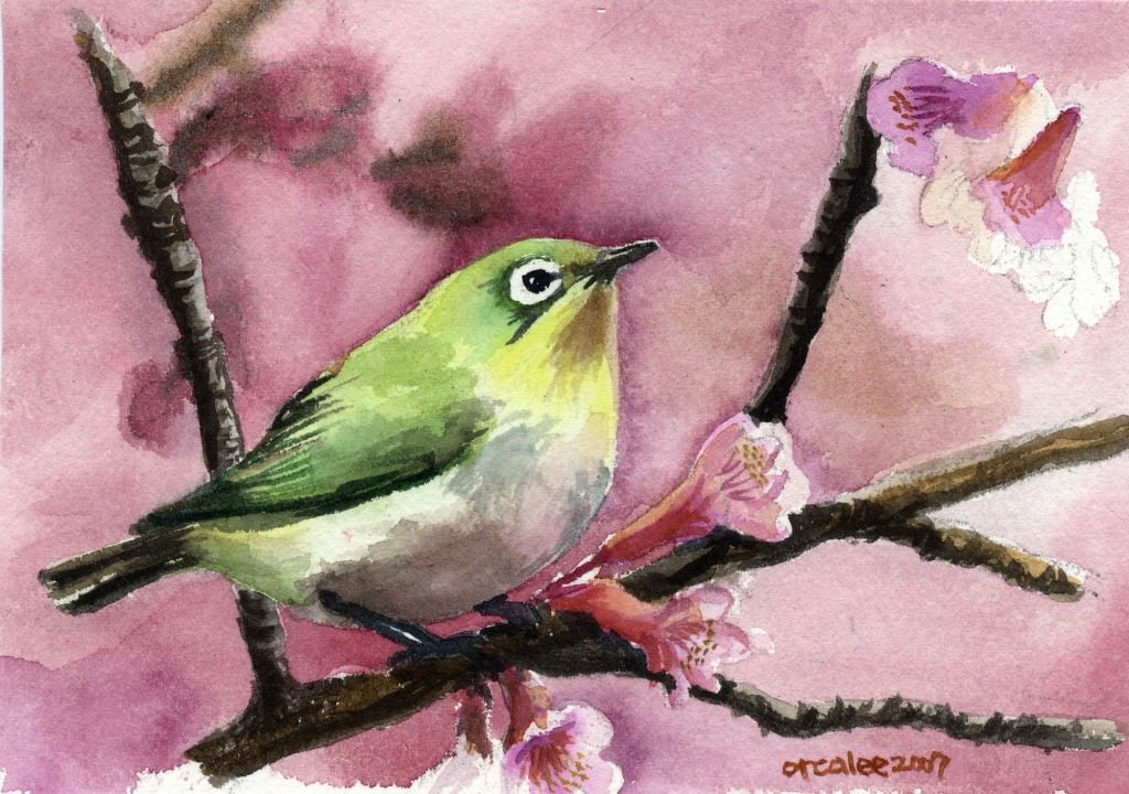 Bird_watercolor_by_orcalee