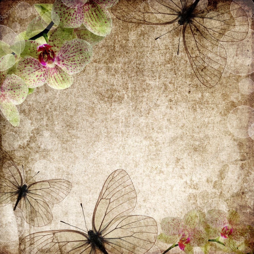 Vintage Background with Orchids and Butterfly