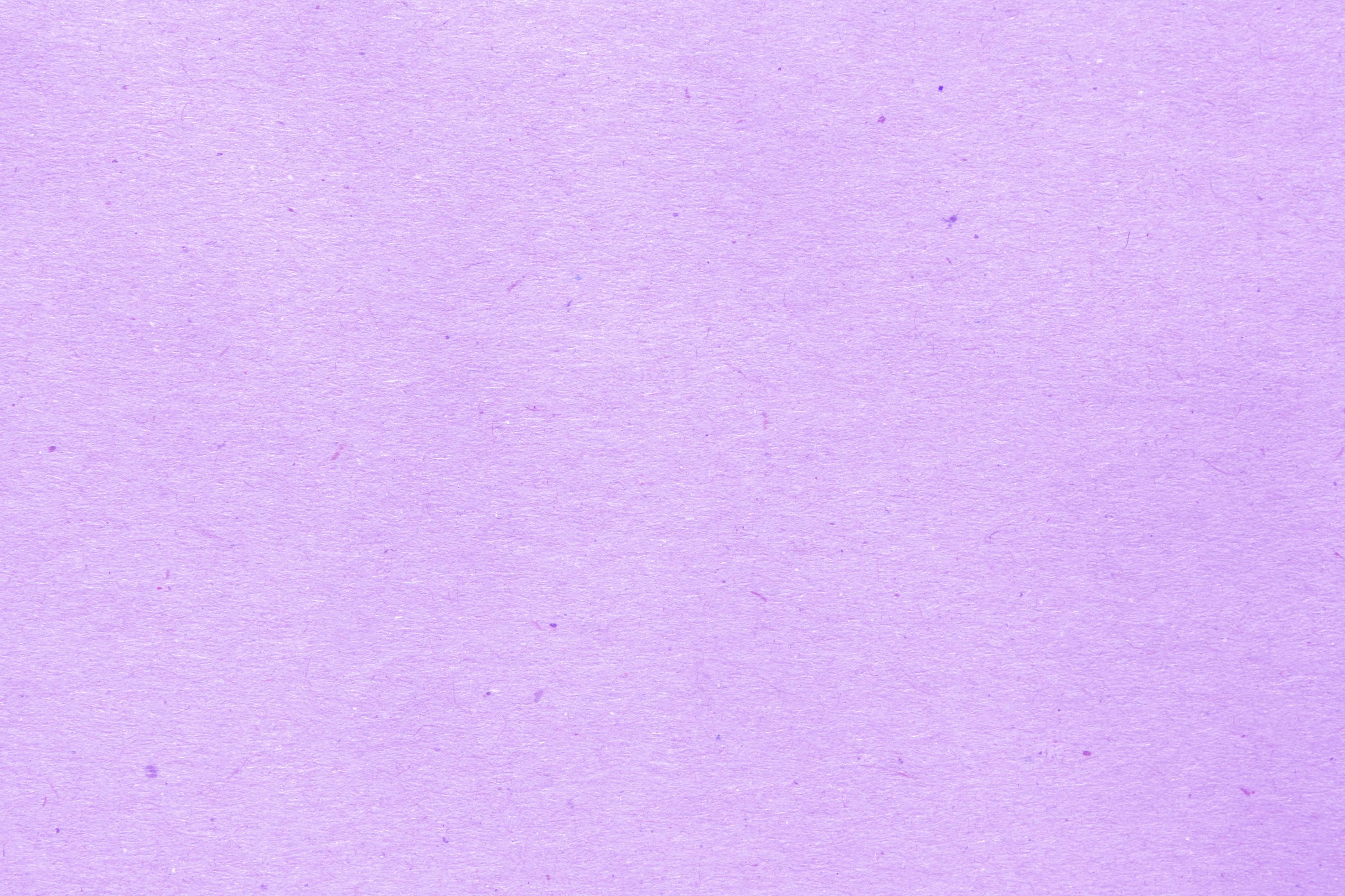 plain light purple background
