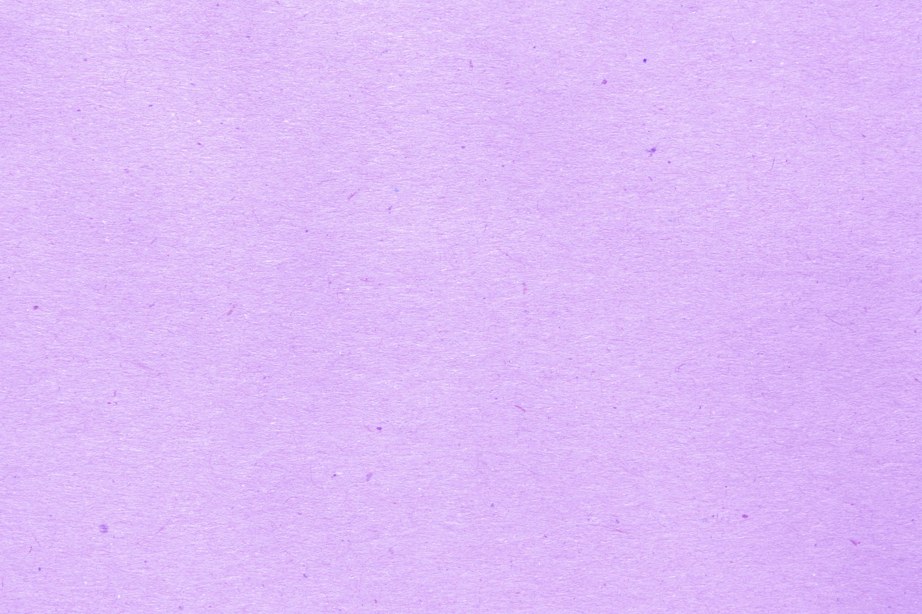 Light-Purple-11