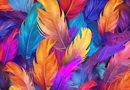 Multicolor Feather 3D Wallpaper