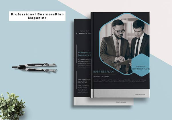 Professional Business Plan Magazine Template in Indesign