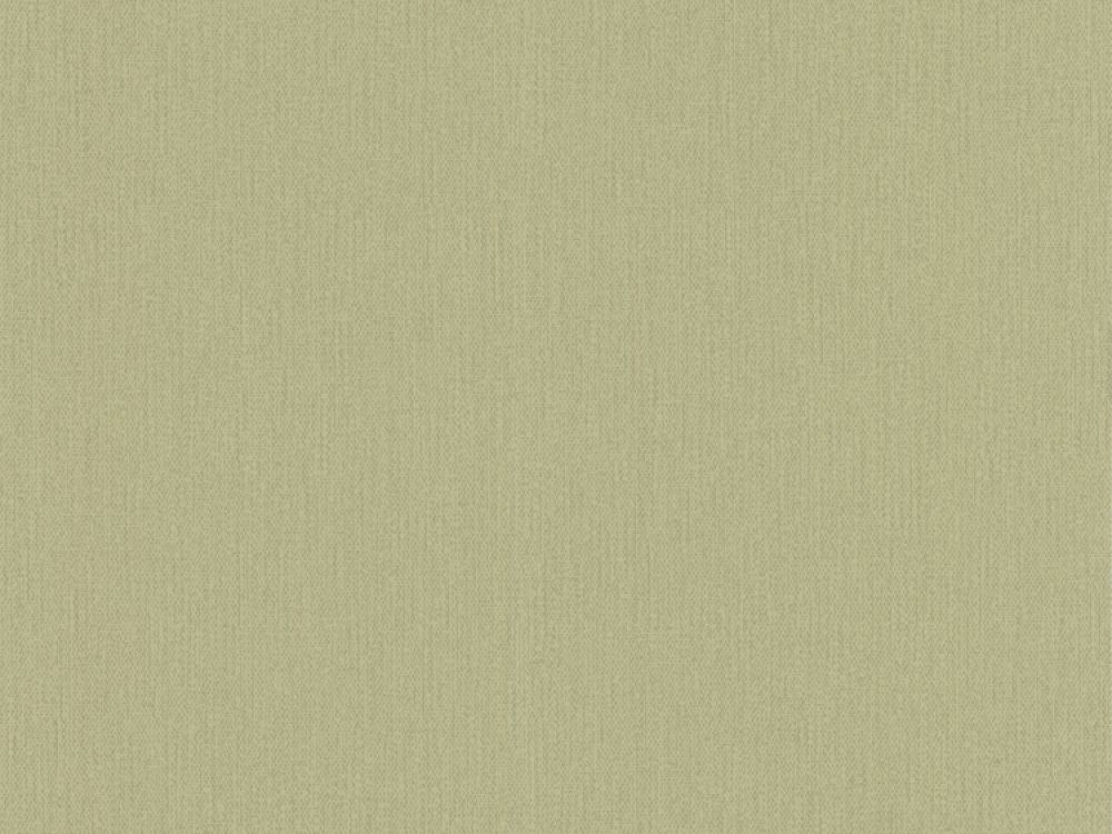 free-delivery-on-roccoco-textured-green-pale-plain-wallpaper-wallpaper-free-plain-textured-delivery-roccoco-green-pale-roccoco-textured-green--pale-green-wallpaper_1320754506