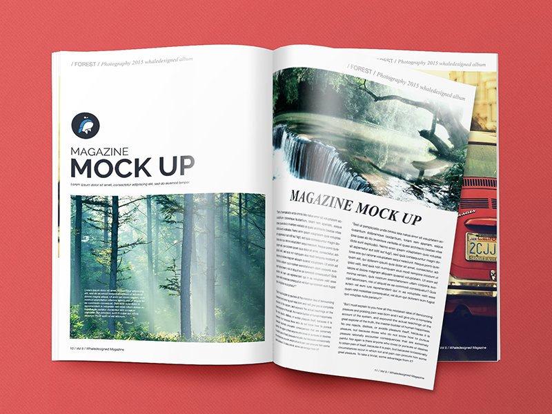 Download FREE 27+ Magazine Cover Page Designs Templates in PSD