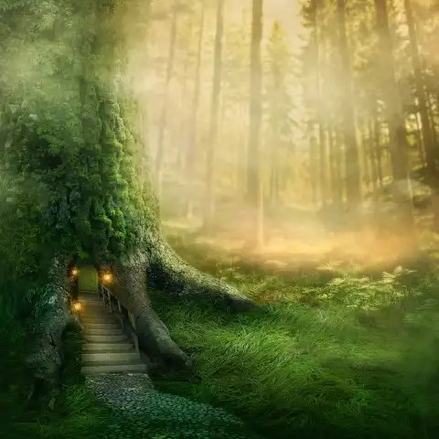 Dark Forest Studio Background Full HD