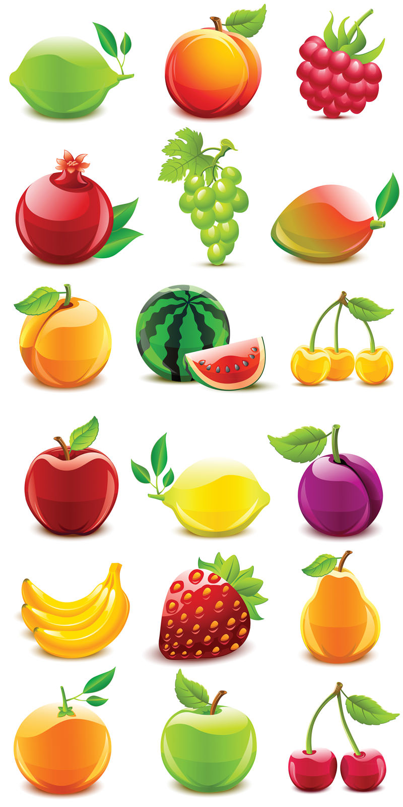 fruits illustration vector free download