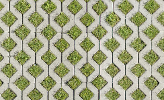 pavers_grass concrete