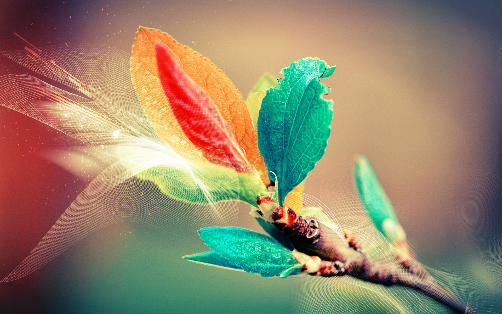 colorful-photography-art-widescreen-hd-wallpapers.jpg