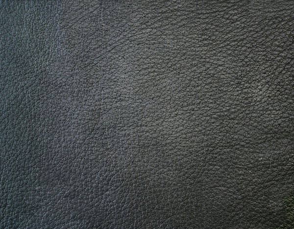 Free: White leather textures 