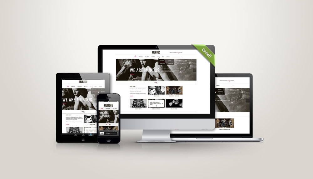 Responsive-showcase-presentation