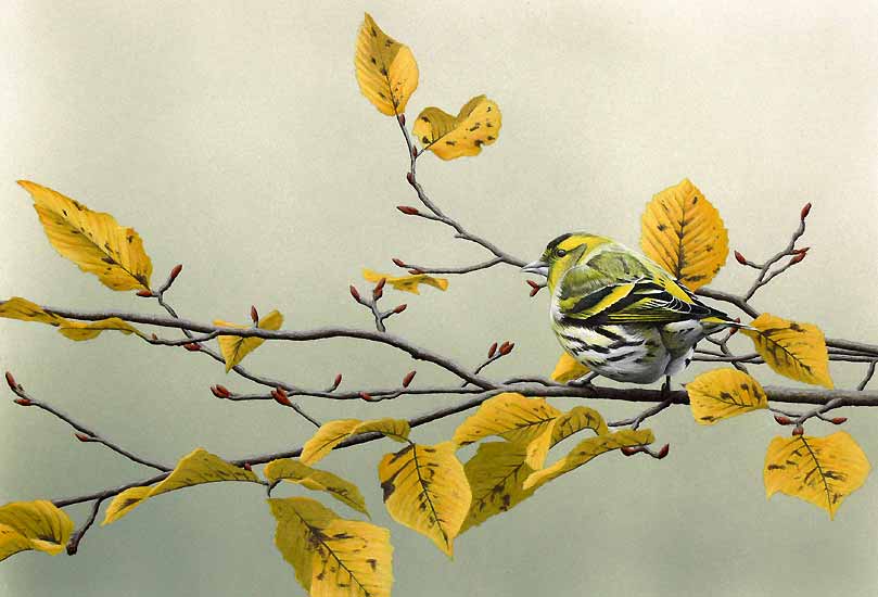 bird-on-tree-oil-painting