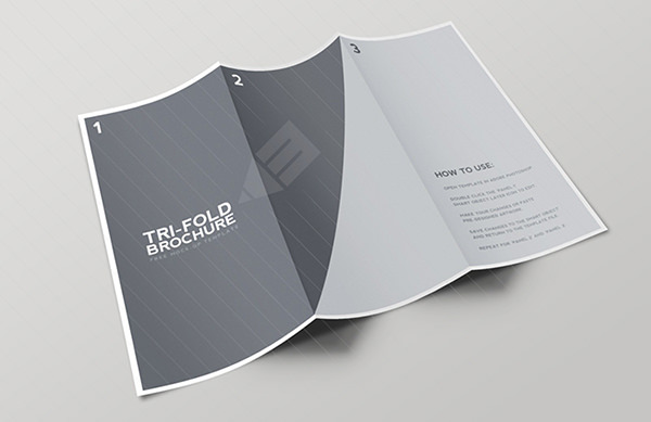 Blank Tri Fold Brochure Template Free Download