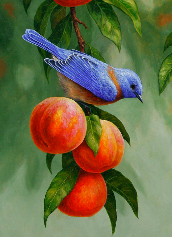 decoupage canvas painting Beautiful   Paintings  15 FreeCreatives Bird