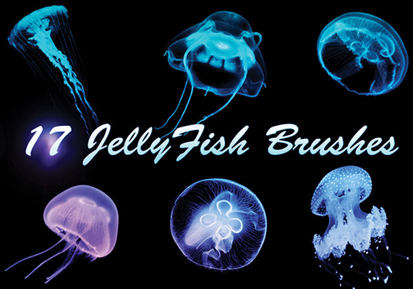 17-large-jellyfish-brushes