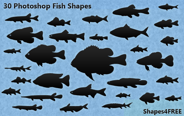 30 Photoshop Fish Shapes