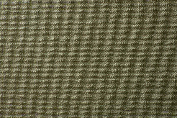 4-Canvas-Texture