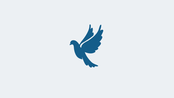 Bird-Logo-Design