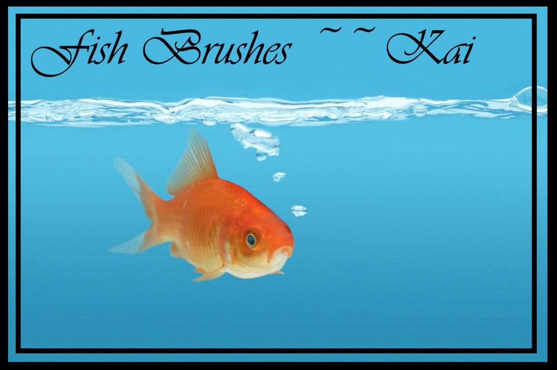 Free Photoshop Fish Brushes