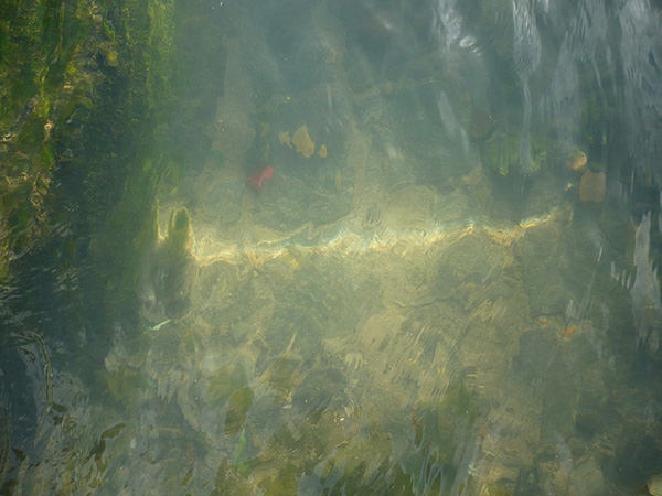 Water-Reflection-Texture