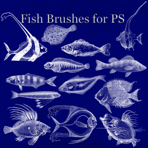 fish_brushes_for_photoshop