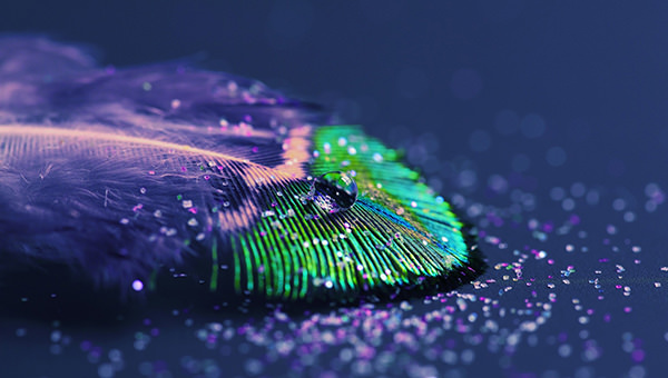 glitters-on-quill-background