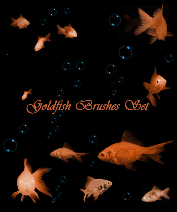 goldfish