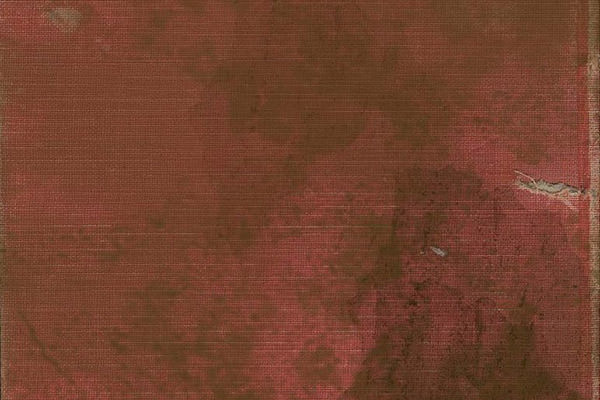 grunge_red_cloth_book texture