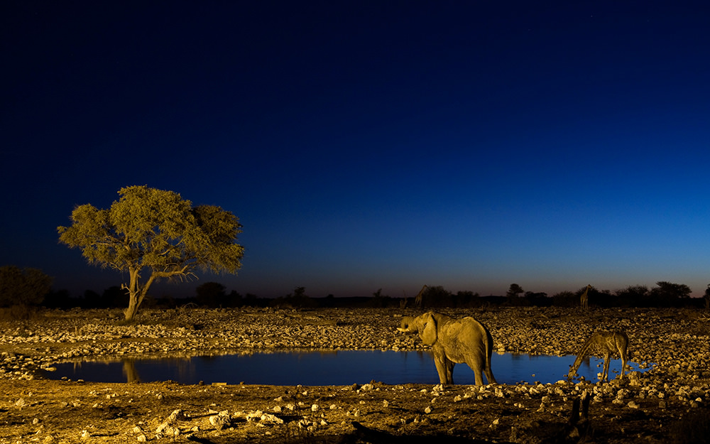 Water For Elephants - Trailer - YouTube