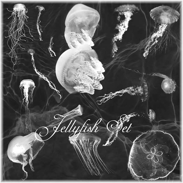 jellyfish_brushes_set