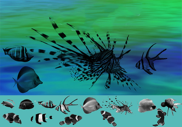 marine_fish_brush_set