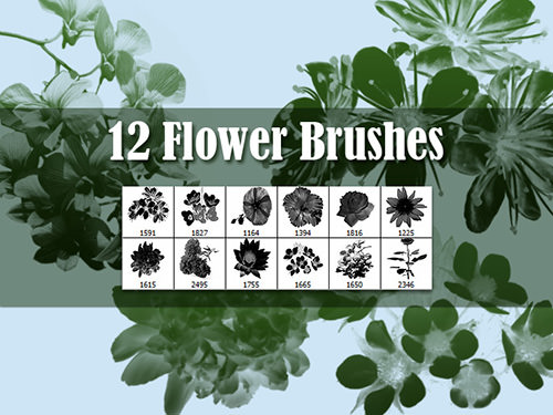 12_flowers_brushes