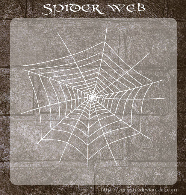 3D Spider Web Brushes