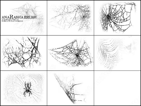 Free Spiders Web Brushes for Photoshop