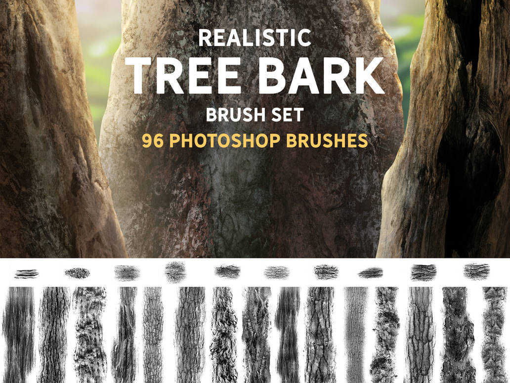 Realistic Tree Bark Brush set