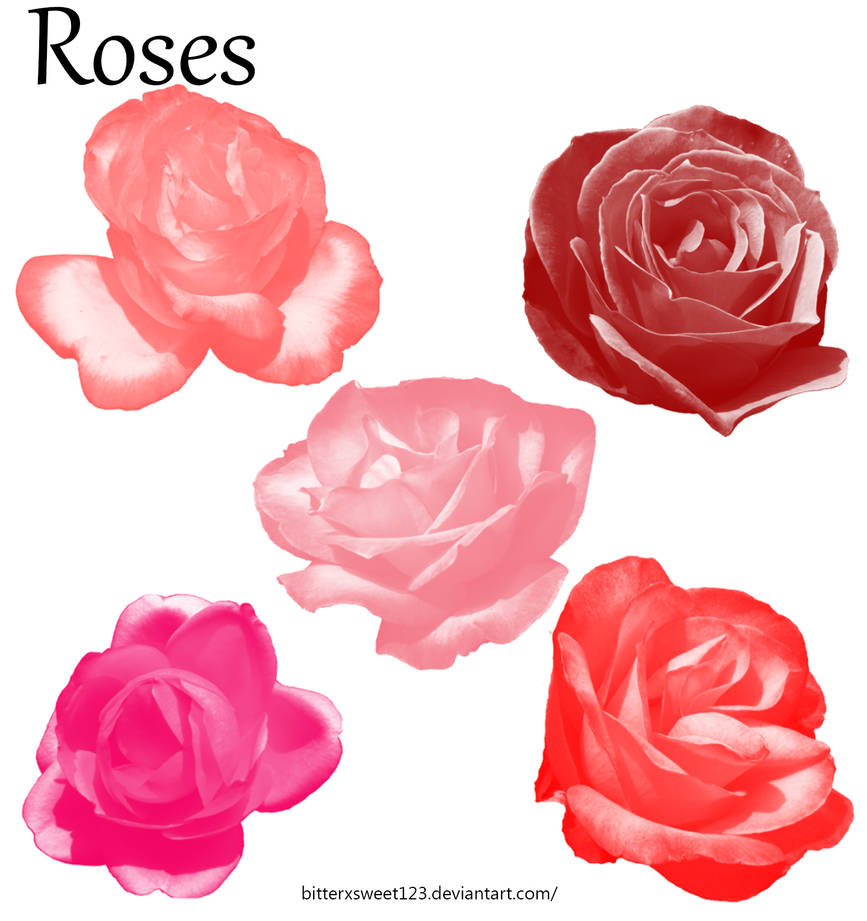 Rose Photoshop Brushes