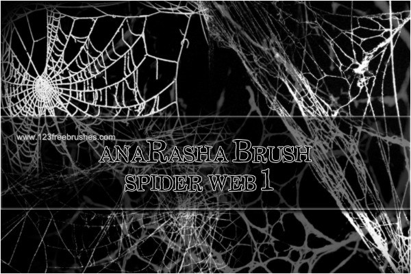 Spider Web Free Photoshop Brush Download