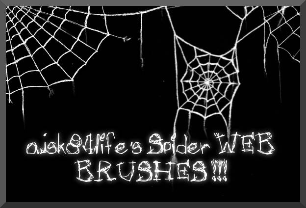 Three Hand Drawn Spider web Brushes