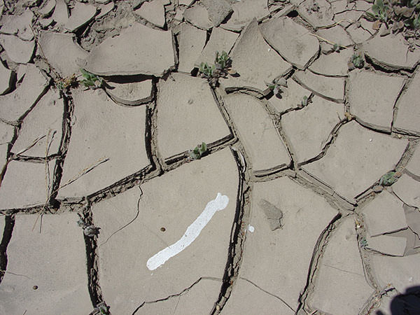 cracked_earth texture