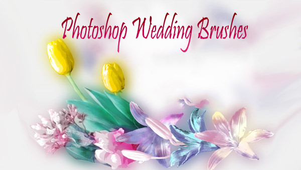 bride and groom photoshop brushes free download