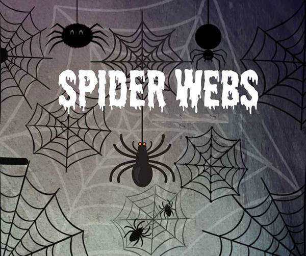 halloween-spiders-brushes
