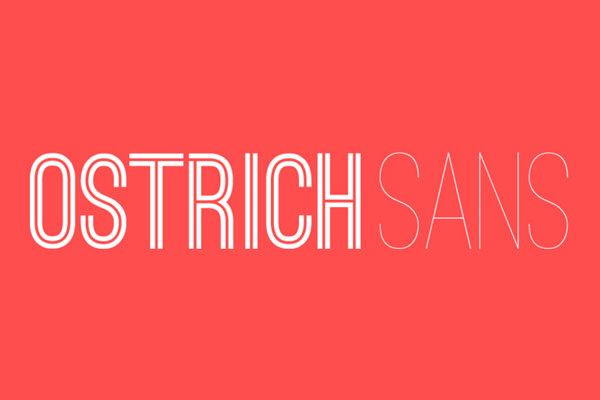 ostrich font