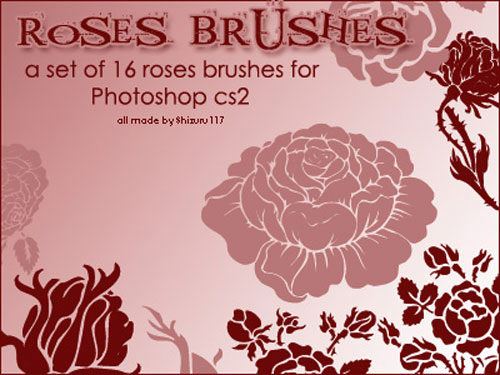 rose_brushes-set