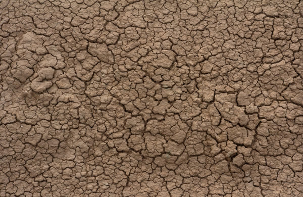 Cracked Dirt Texture