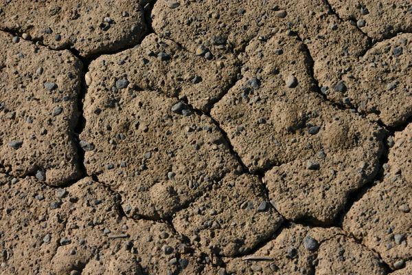 Cracked Mud Texture with small Pebbles