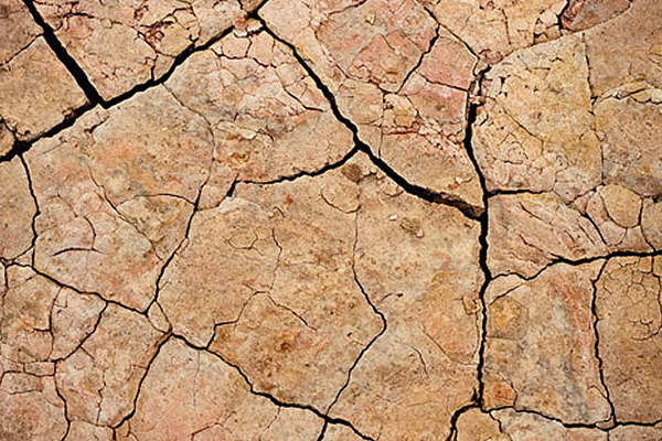 Cracked Mud Texture