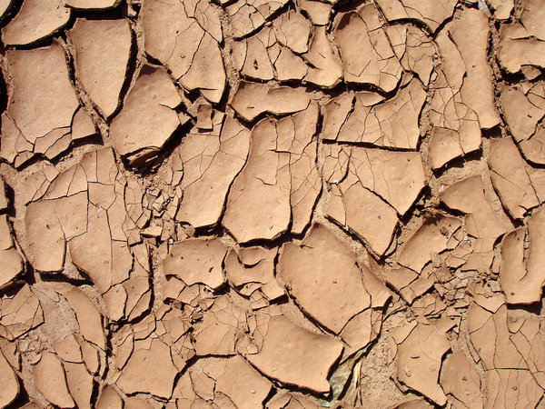 Cracked Red Clay Mud Texture