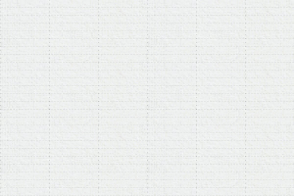 Doubled Lined white Seamless Pattern for Photoshop