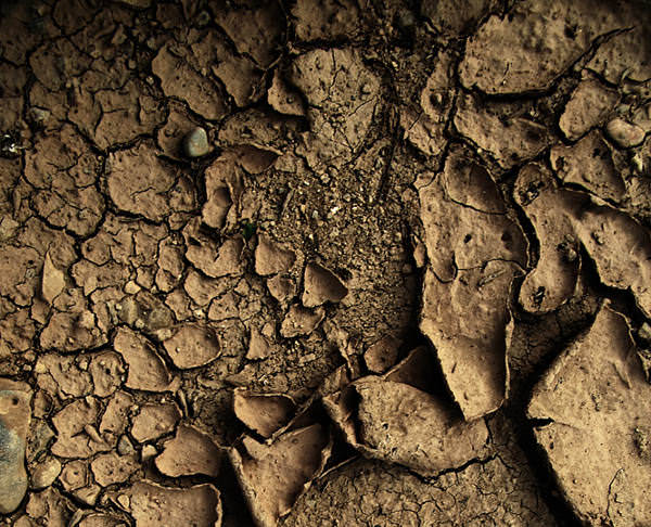 Dry Mud Texture