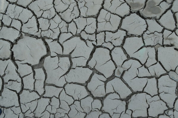 Grey Colored Cracked Mud Texture