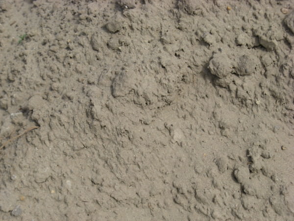 Ground Mud Texture with High Quality